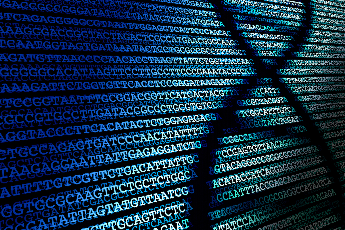 Metagenomic Analyses